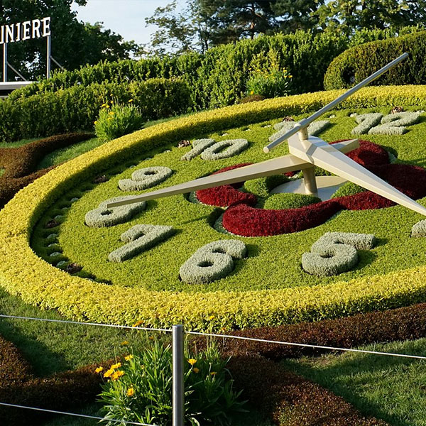 Floral Clock, Garden Flower clocks fc004