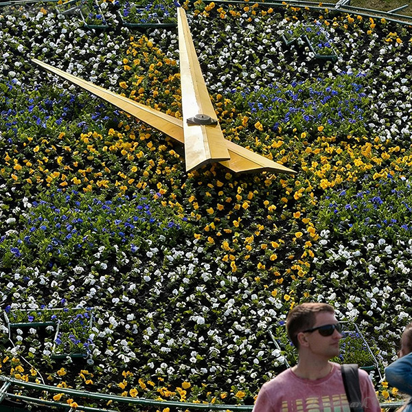 Close-up of oversized clock hands over dense seasonal bedding plants Close-up of oversized clock hands over dense seasonal bedding plants