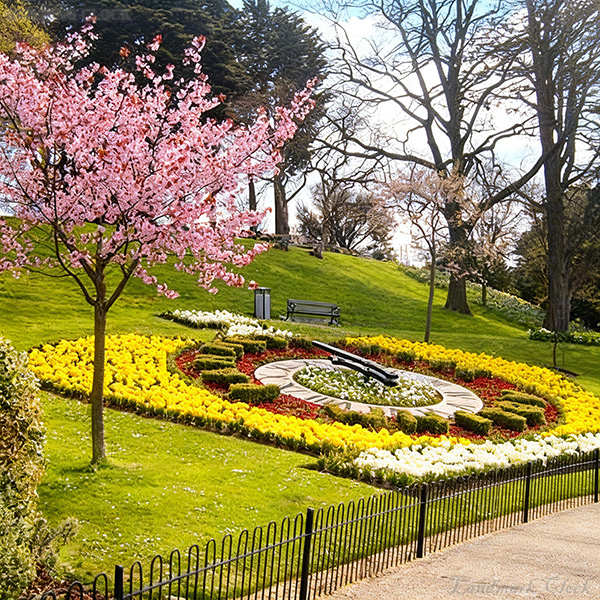 Heritage Floral Clock Landmark for Public Parks | Outdoor Timepiece & Seasonal Bedding Display